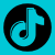 tiktok icon